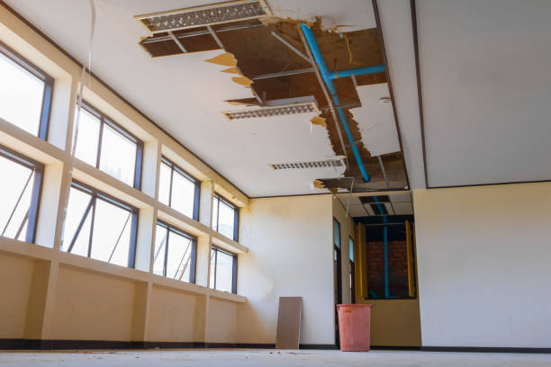 Best Water damage mitigation services  in Barry, IL