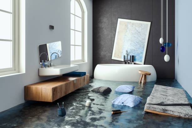 Best Emergency water damage restoration  in Barry, IL