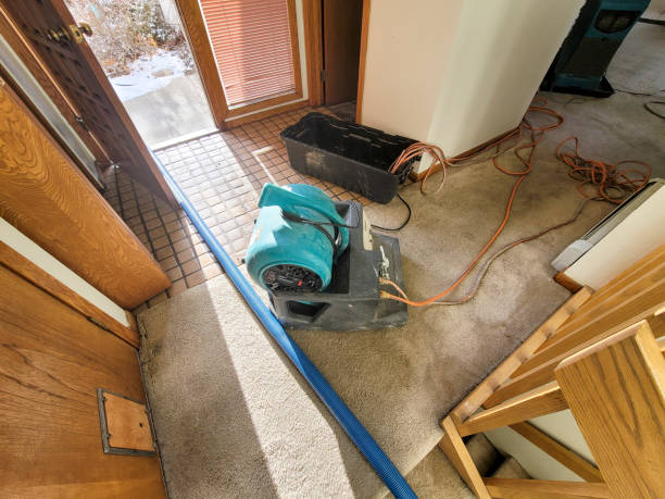 Trusted Barry, IL Water damage restoration Experts