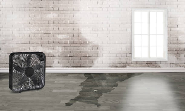 Best Water damage restoration near me  in Barry, IL