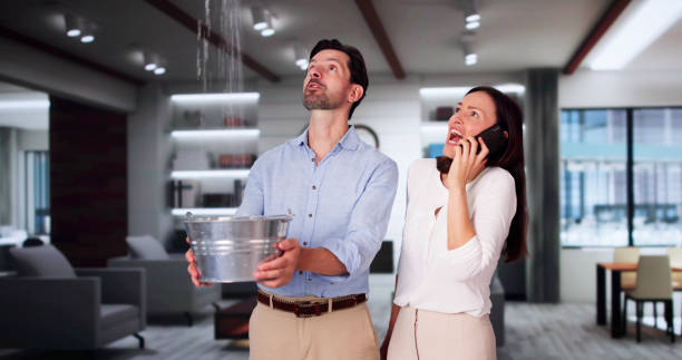 Best Water damage contractors near me  in Barry, IL